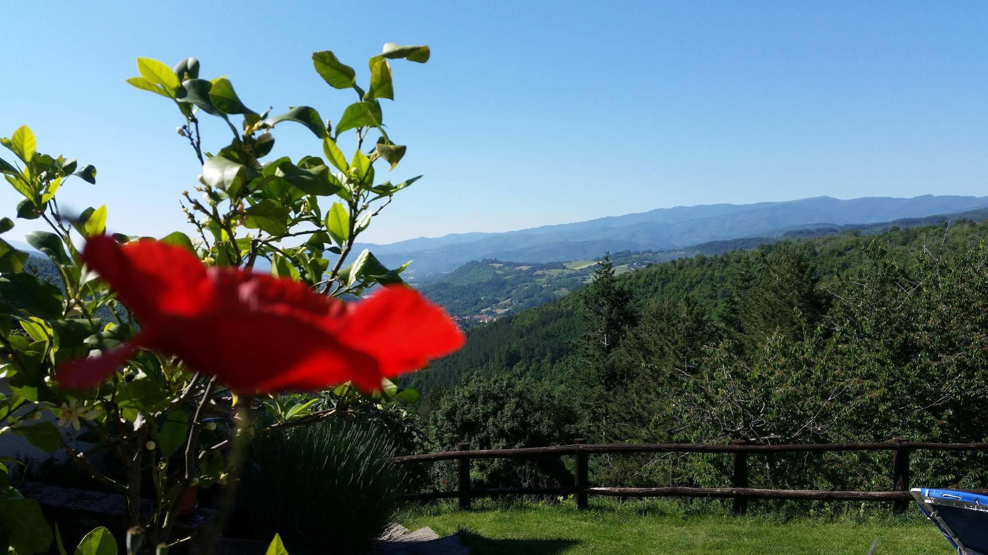 Borgo Tramonte Otel Pratovecchio Dış mekan fotoğraf