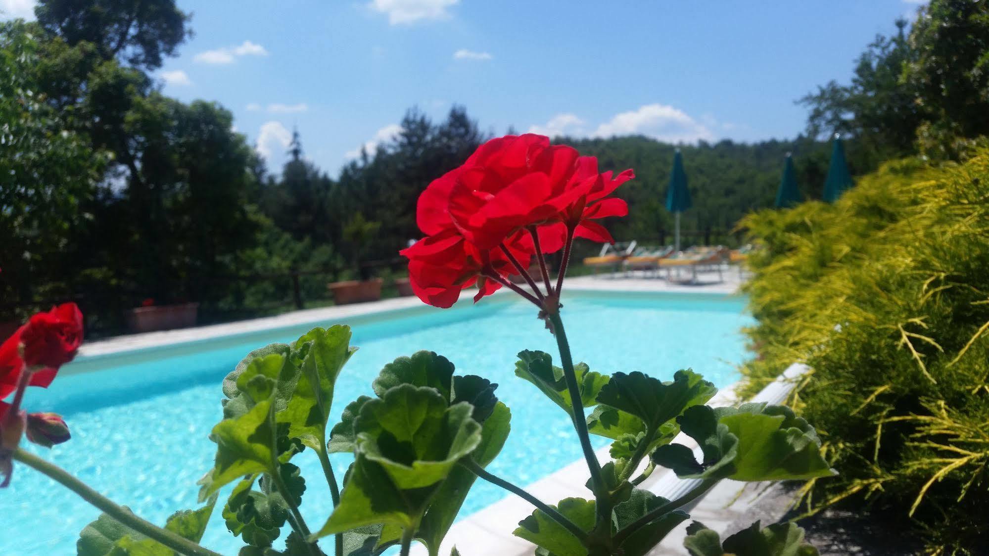 Borgo Tramonte Otel Pratovecchio Dış mekan fotoğraf