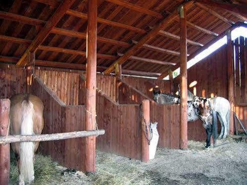 Borgo Tramonte Otel Pratovecchio Dış mekan fotoğraf